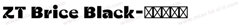 ZT Brice Black字体转换